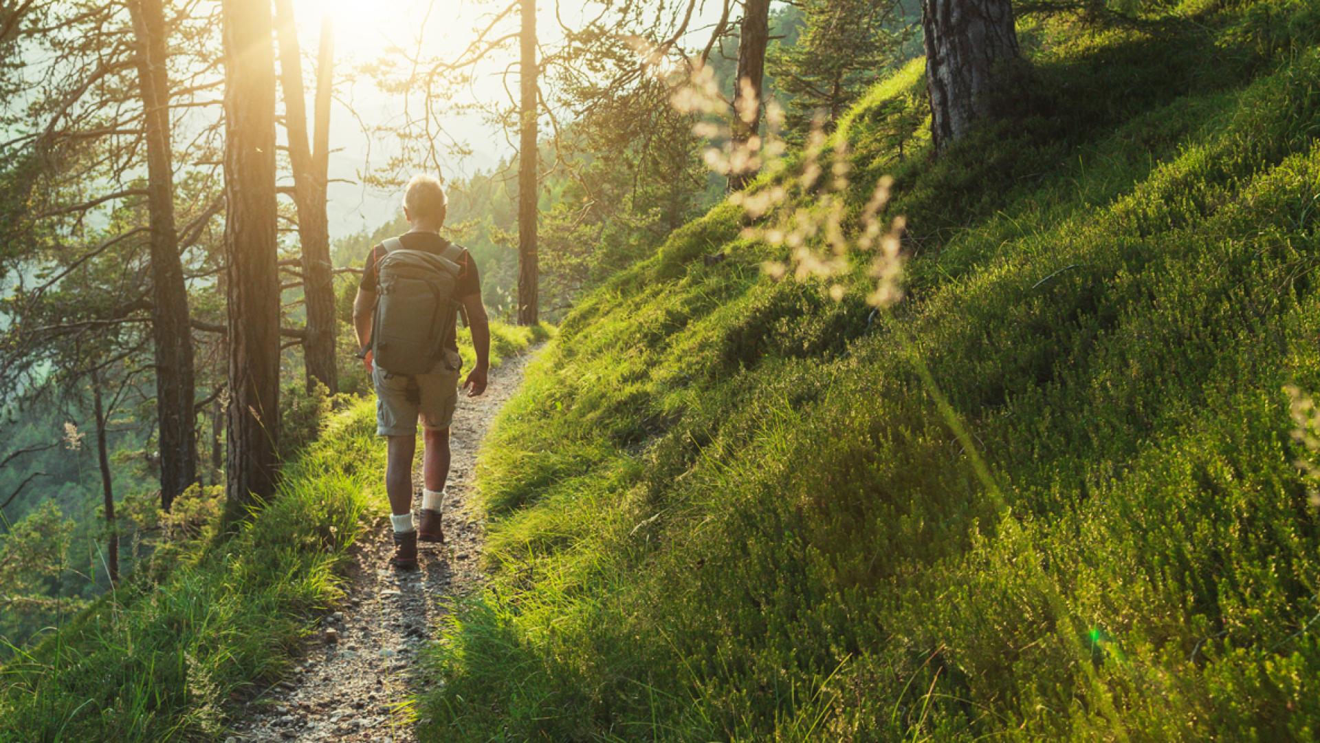 Person hiking through woods