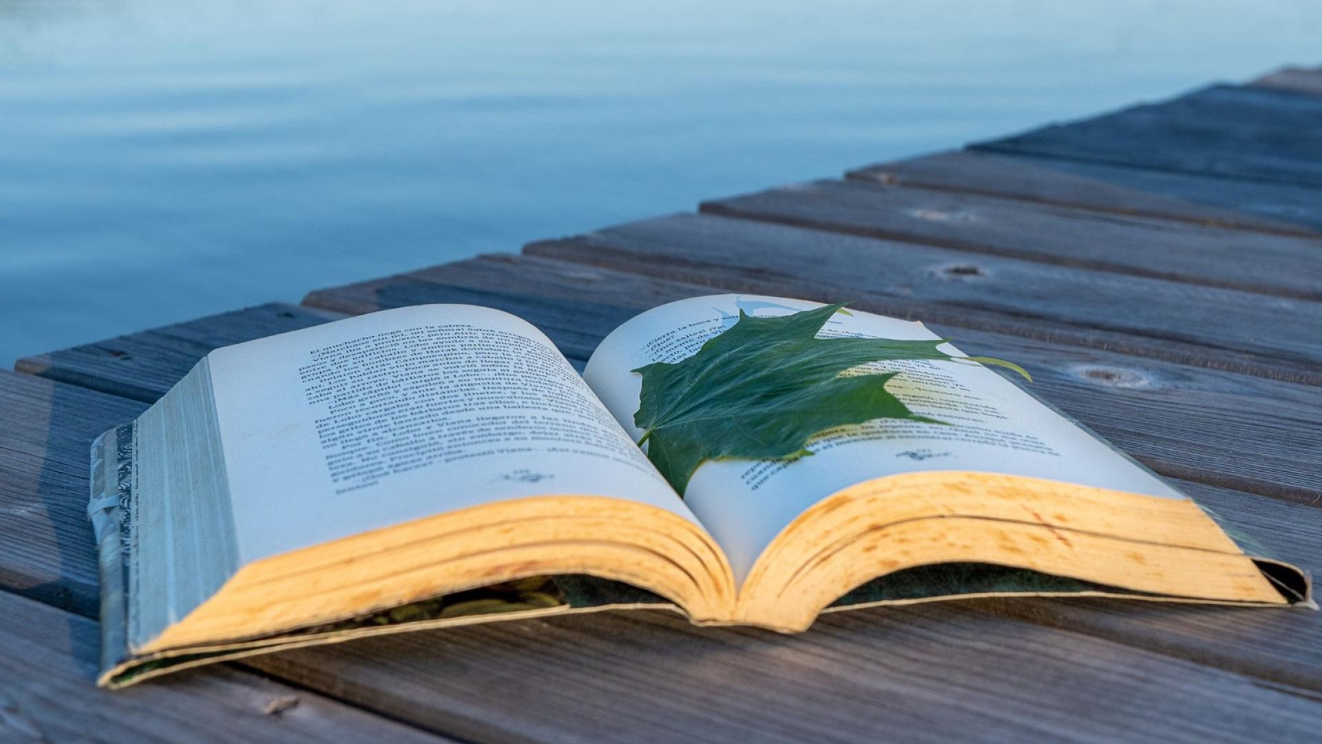Green maple leaf sits on top of an open book on a dock with water in the background