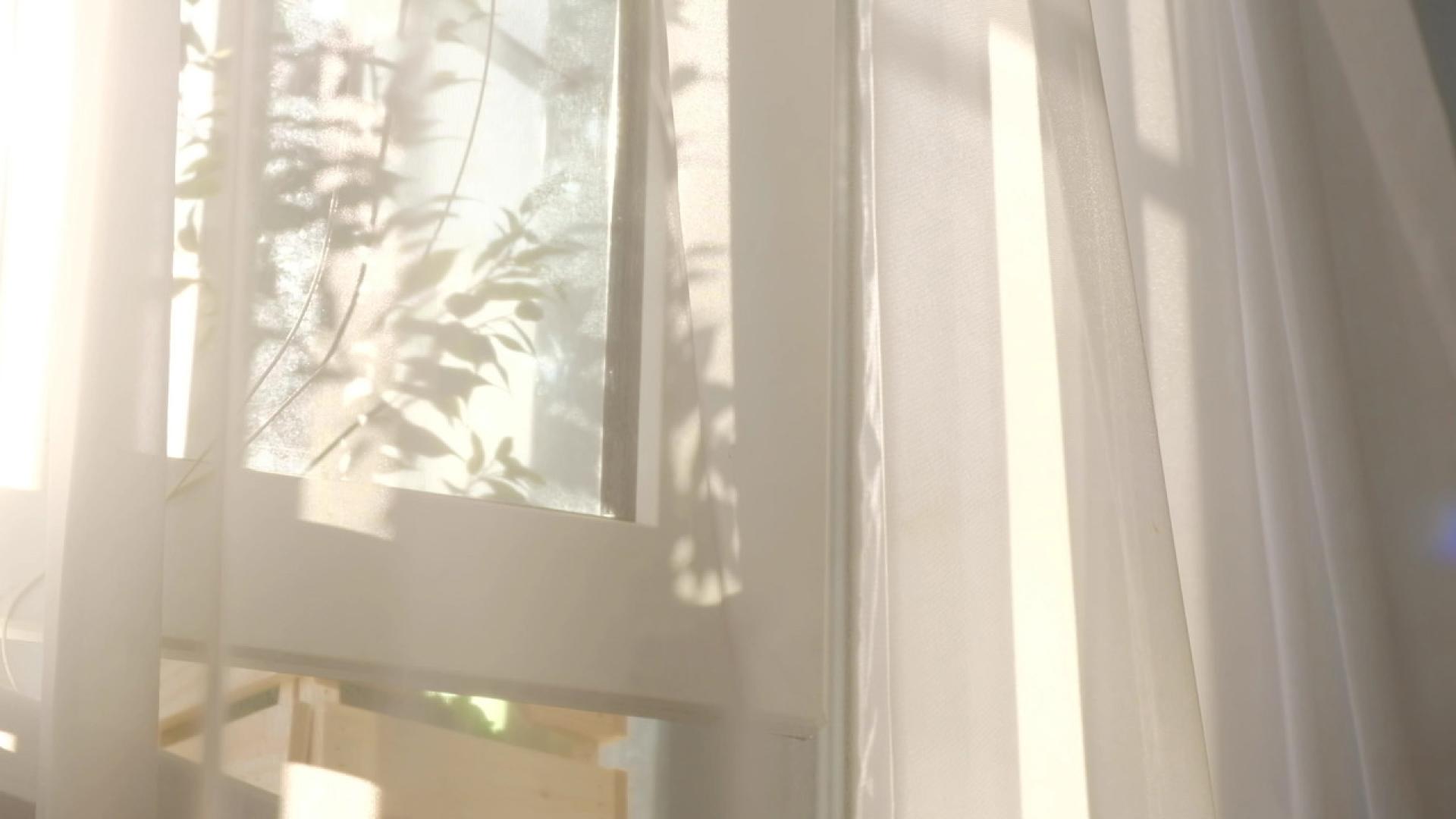 Window with white curtains and sunshine pouring in