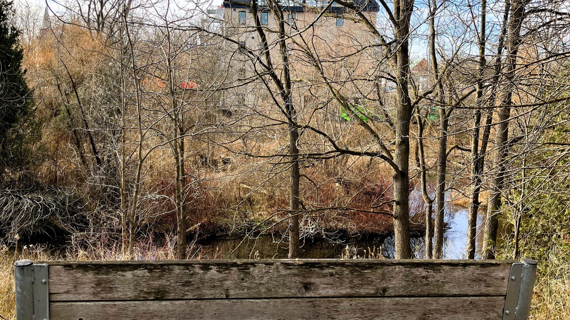 A wooden bench by a creek with a large stone building rising out of the trees on the far side