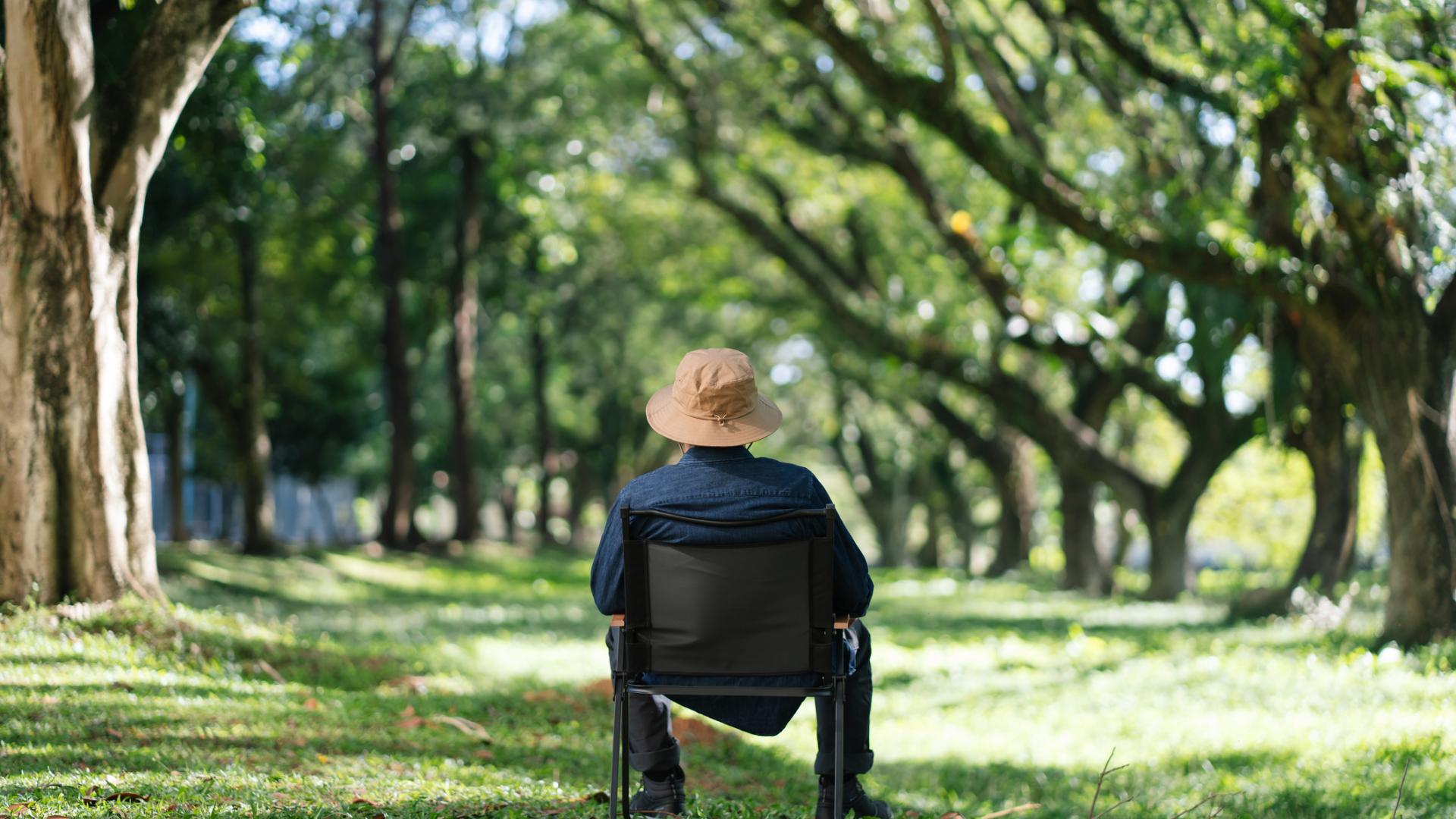 A photo of an adult sitting in a chair between two rows of trees