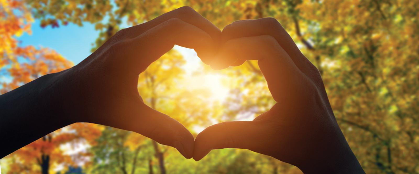 Hand making the shape of a heart in front of fall trees