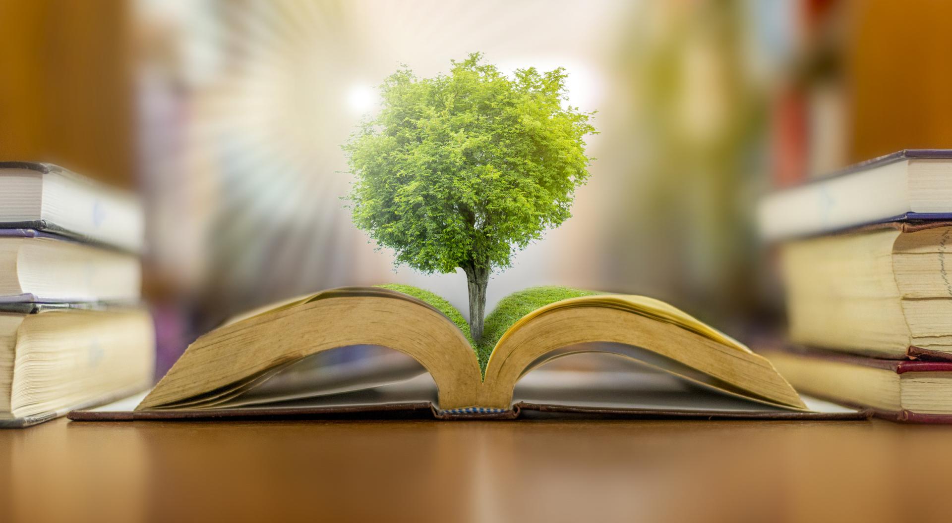 Tree growing out of an open book